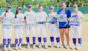 Image result for Brighton Beachcombers Softball Club
