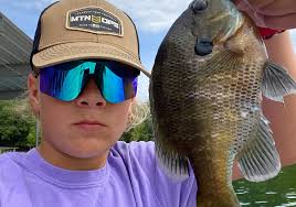 Image result for Chrysoblephus cristiceps