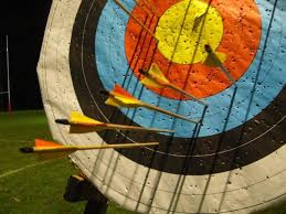 Image result for Surrey Bowmen