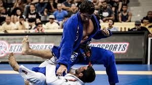 Image result for British Jujitsu Ryu