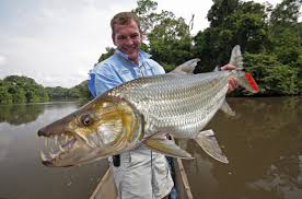Image result for Goliath Tigerfish