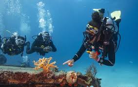 Image result for Dive Solutions, London