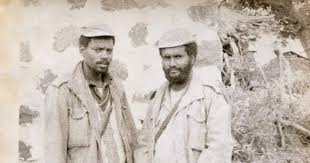 Attēlu rezultāti vaicājumam “Diderma effusum young”