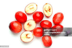 Attēlu rezultāti vaicājumam “Oxycoccus”