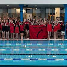 Image result for Downham & District Swimming Club