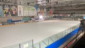 Image result for Swindon Panthers
