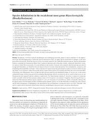 Attēlu rezultāti vaicājumam “Rhynchostegiella tenella macro”