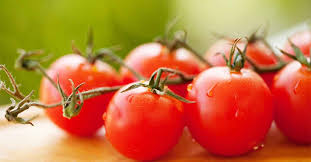 Image result for Tomate