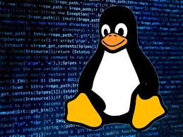 Image result for linux tux