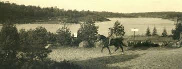 Image result for Winchester Riding Club