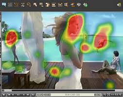 Image result for heat map eye