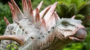 Image result for Combe Martin Bowling Club