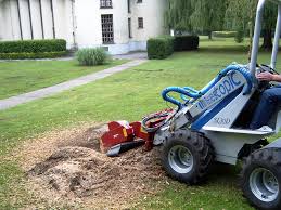 Image result for fsi tehron