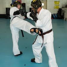 Image result for Epsom and Leatherhead Martial Arts
