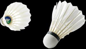 Image result for Shuttles Badminton Club (Frome)