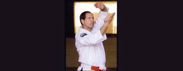 Image result for Imi Jishin Ryou karate do