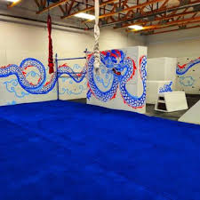 Image result for Lincoln Parkour club