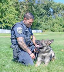 「アレックス・シェパード」の画像検索結果