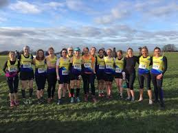 Image result for Stopsley Striders Jogging Club
