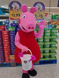Image result for peppa pig costume