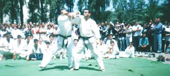 Image result for Tsunami Karate Club