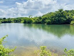 Image result for Forest (Sale) Badminton Club