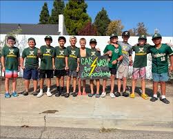 Image result for Team Lightning Trampoline Club