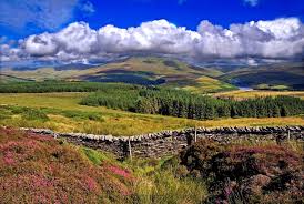 Image result for Isle Of Man