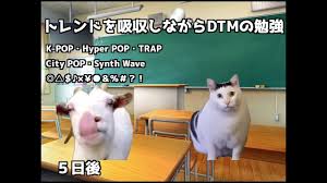 猫次郎o에 대한 이미지 검색결과