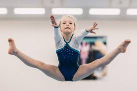 Image result for Park Wrekin Gymnastics Club