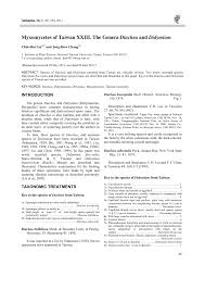 Attēlu rezultāti vaicājumam “Diachea subsessilis stalked”