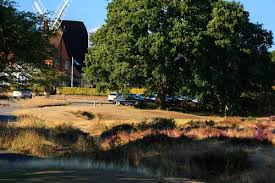 Image result for Reigate Heath Golf Club