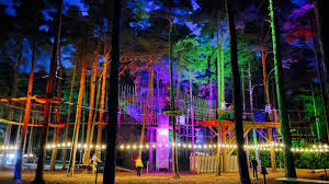 Image result for Go Ape! Leeds Castle