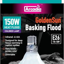 Risultati immagini per arcadia basking solar flood