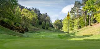 Image result for Hindhead Golf Club