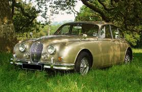 Image result for Golden Sand 1962 Jaguar