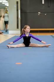 Image result for Harnham Gymnastics Club