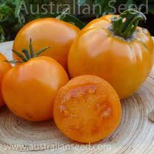 Afbeeldingsresultaat voor earl faux tomato