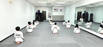 Image result for Dacula Martial Arts Dojo