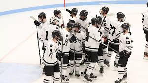 Image result for Bowdon Hockey Club