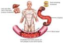 HDL Cholesterol Levels | Cholesterol Is