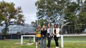 Image result for Weirs Cricket Club