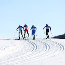 Image result for Scandinavian slope and cross country skiing