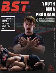 Image result for Blood Sweat and Tears Mixed Martial Arts Academy