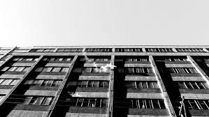 Image result for Tora Dojo