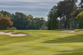 Image result for Tadworth Athletic Club