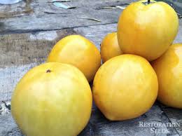 Afbeeldingsresultaat voor earl faux tomato