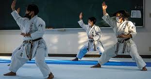 Image result for COURT FIELDS karate Academy