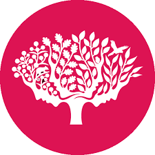 Attēlu rezultāti vaicājumam “Aloina rigida”