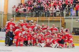 Image result for Swindon Panthers